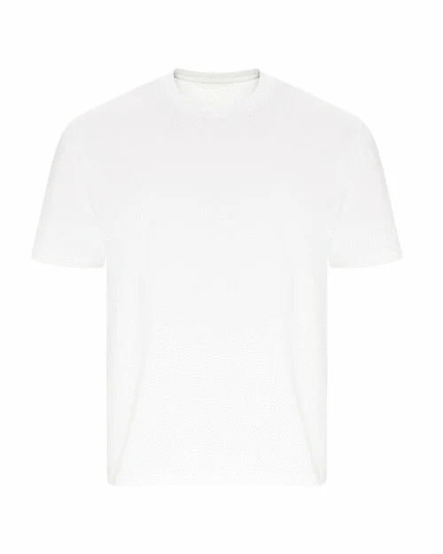 Ecologie Arrow Recycled Oversized Tee - EA006M - Image 6