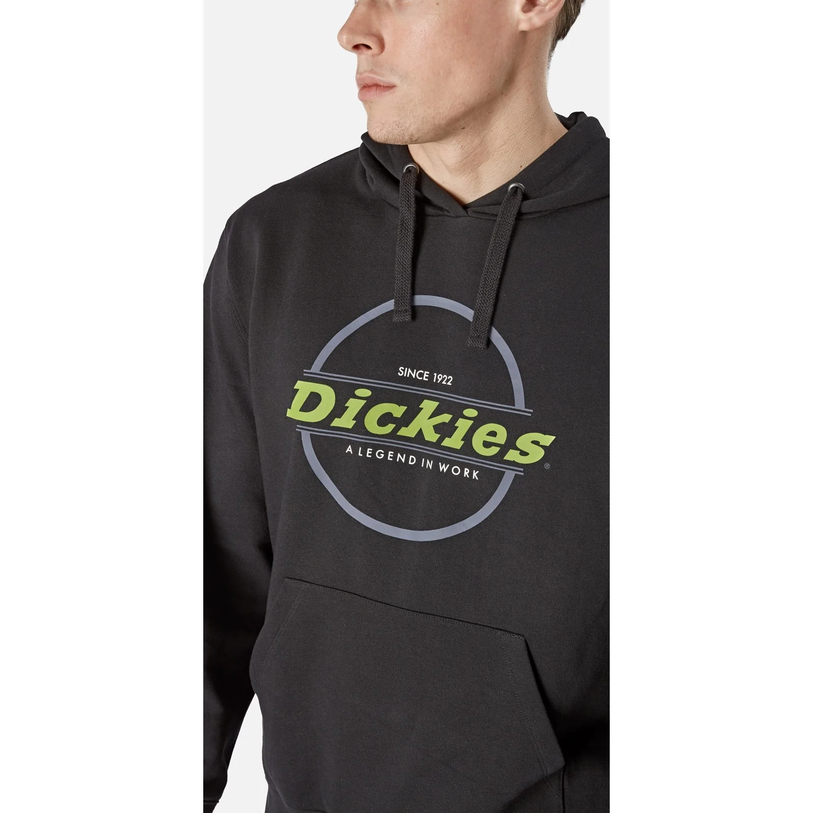 Dickies Towson Graph Hoodie - Image 6