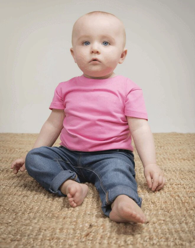 Larkwood Organic T Shirt - LW620B