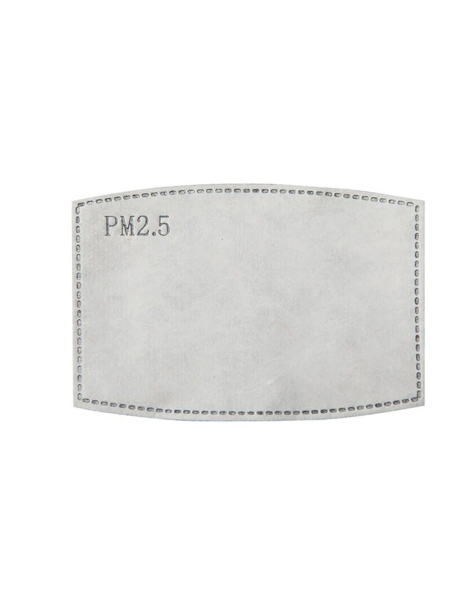 Premier PPS Pm2.5 Activated Carbon Filter (Pack Of 10) - PR797M