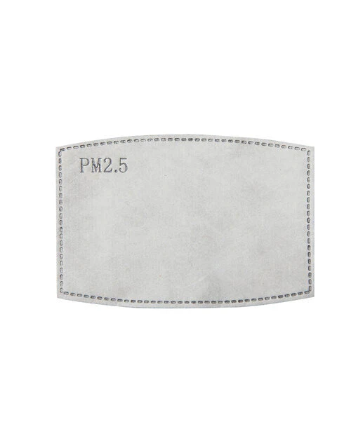 Premier PPS Pm2.5 Activated Carbon Filter (Pack Of 10) - PR797M - Image 2