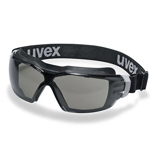 Uvex Pheos Cx2 Sonic Goggle
